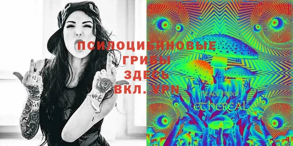 меф Алексин