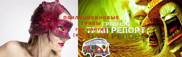 spice Алексеевка