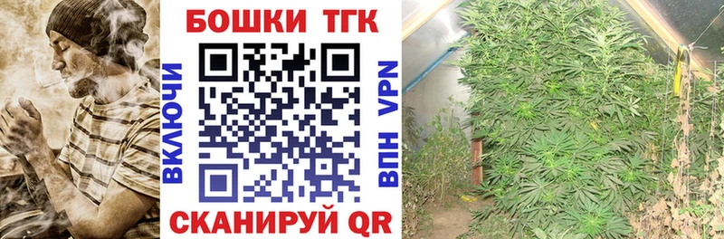 Каннабис сатива  продажа наркотиков  Саки 